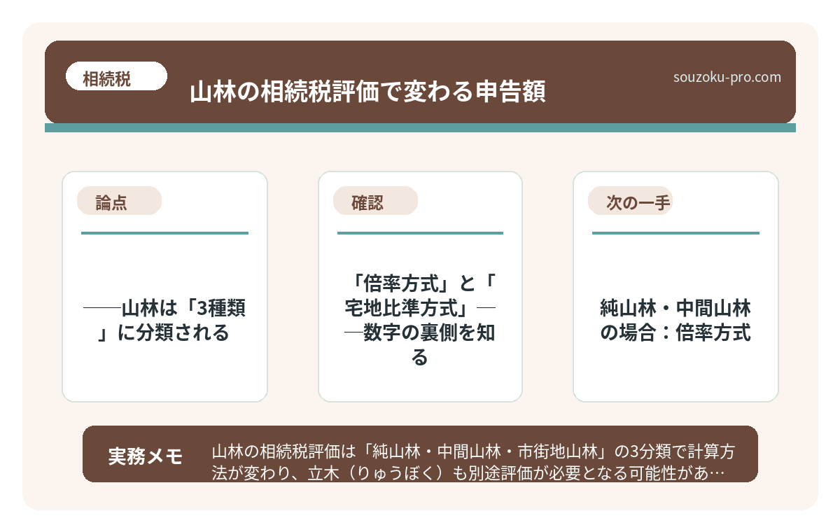 で、結論から言うと──山林は「3種類」に分類される